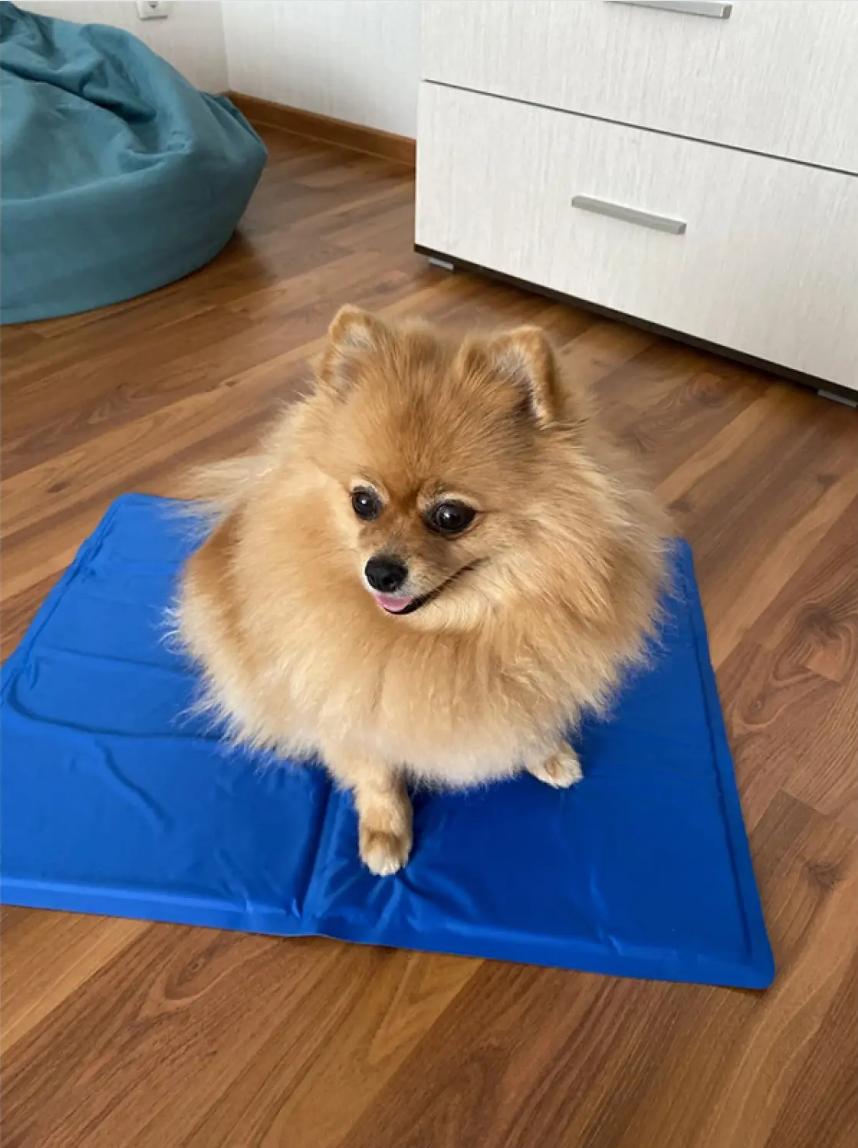 Відгук покупця про килимок
